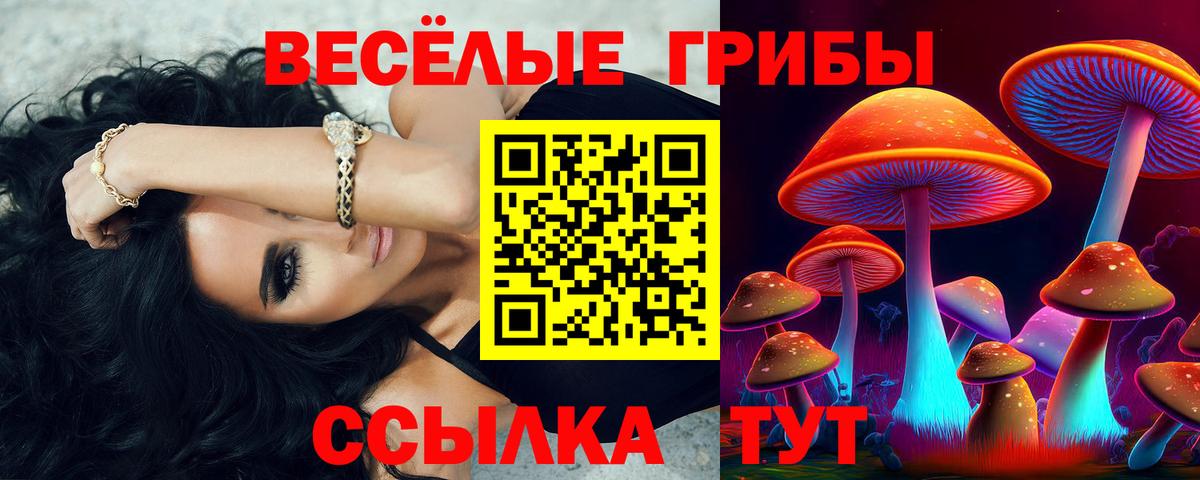 Таганрог  Псилоцибиновые грибы Cubensis  Вход с VPN  Псилоцибиновые грибы Psilocybine cubensis 