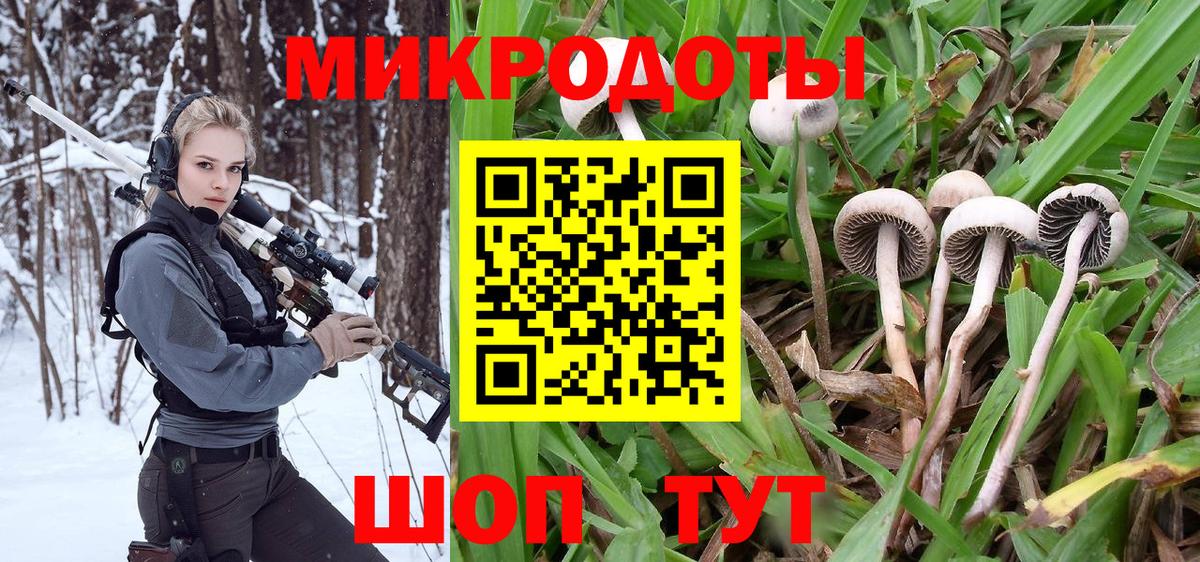Галлюциногенные грибы GOLDEN TEACHER Таганрог